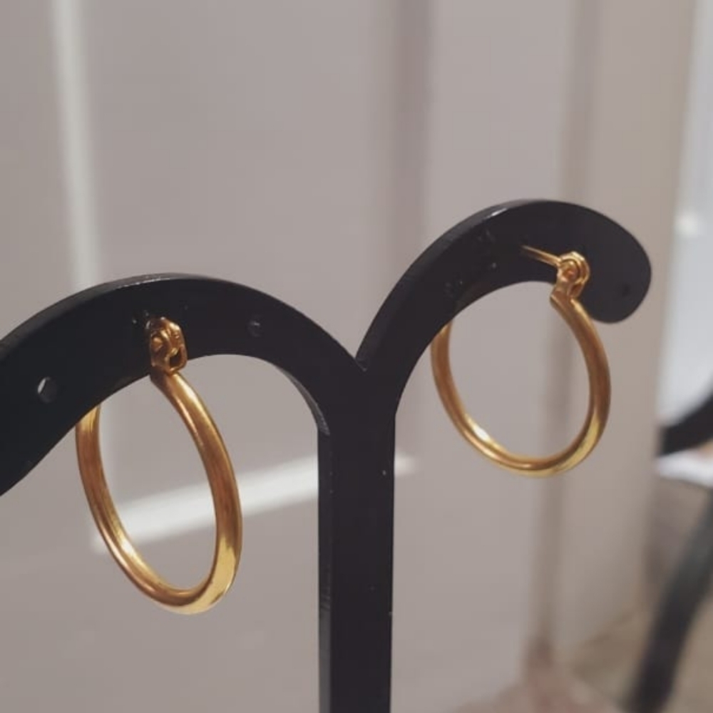 Hoops Gold Tone Earrings 🌴